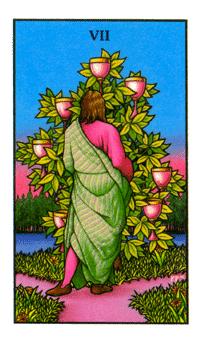Seven of Cups
