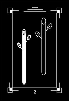 Two of Wands