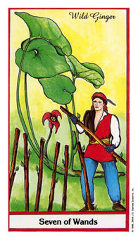 Seven of Wands