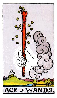 Ace of Wands